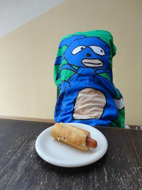 Sanic Pillow